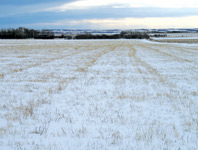 GRANDE PRAIRIE, AB – APRIL 10 & 11, 2012