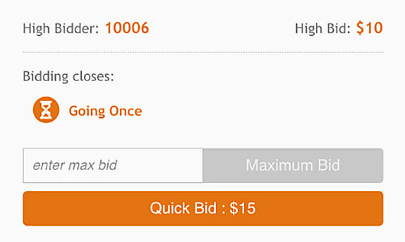 Online bidding interface in a Ritchie Bros. equipment auction.