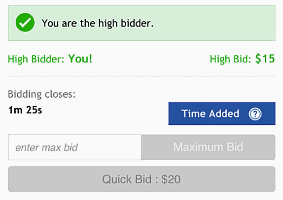 Online bidding interface in a Ritchie Bros. equipment auction.