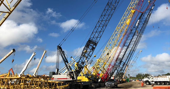 Cranes 1 in Orlando 2018 Cranes 1 in Orlando 2018
