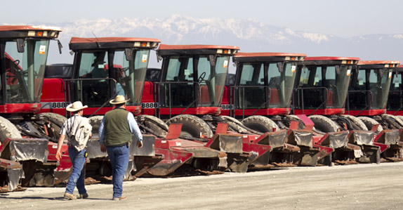 Surveying a row of equipment in the auction site yard